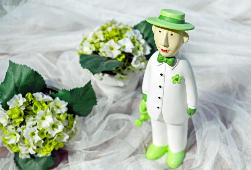 ecommerce-DALUIS-min_man-person-flower-green-toy-fig-546529-pxhere.com